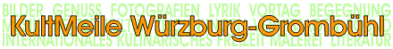 W�rzburger Kulturnetzwerk, gegruendet von Martina J�ger